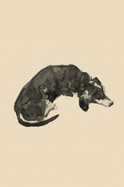 Relaxed Ink Dog by cartissi