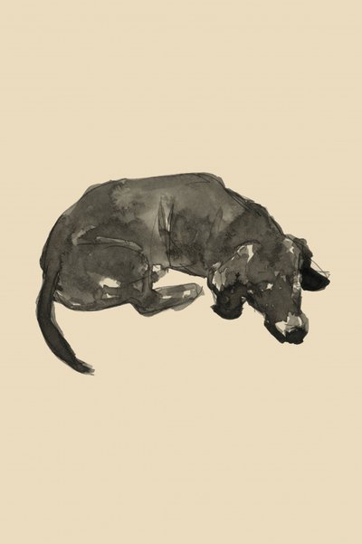 Sleeping Black Dog by cartissi