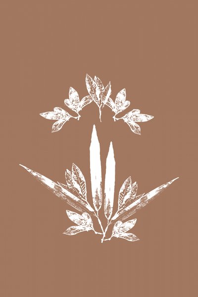 Stylized Botanical Leaves by cartissi