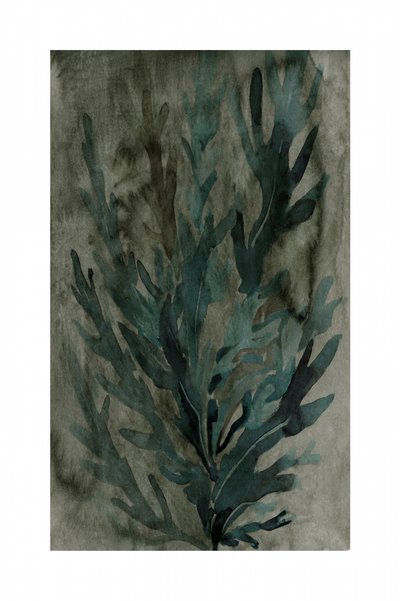 Underwater Greenery by cartissi