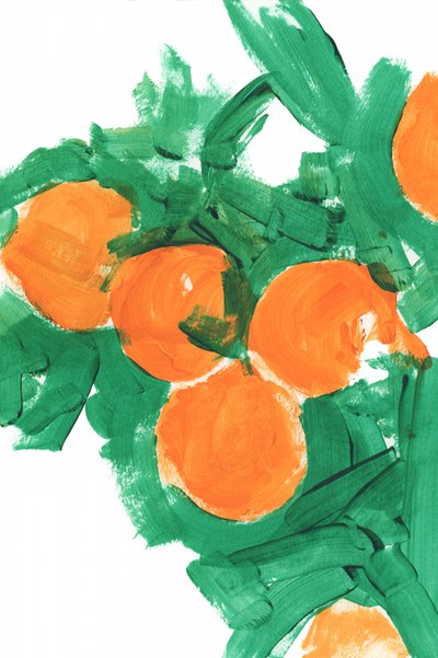 Vibrant Citrus Harvest by cartissi