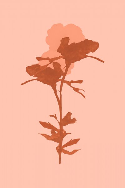 Warm Botanical Bloom by cartissi