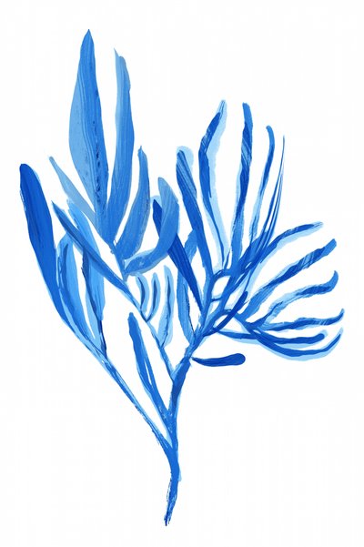 Watery Blue Plant Forms by cartissi