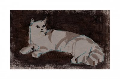 White Cat Resting by cartissi