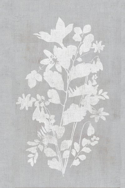 White Floral Silhouette by cartissi