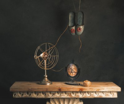 Curious Vintage Arrangement by chenyi wang