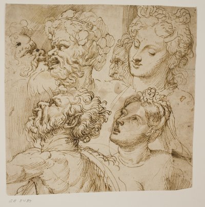 Studies for the Heads of Three Satyrs, an Old Man and Two Women by dall