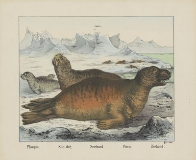Seal by firma Joseph Scholz