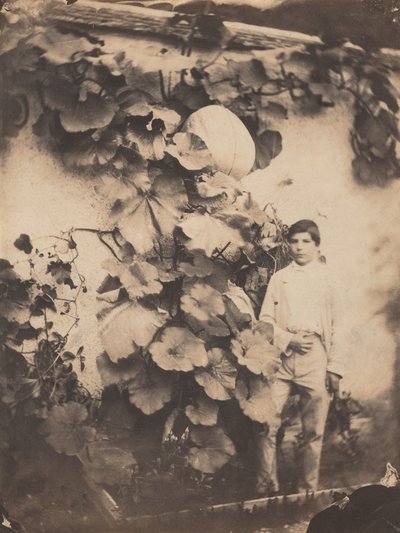 Boy with a Pumpkin Vine, 1854 by freres Varin
