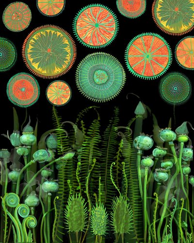 Fantasy Botanical Patterns by giovanna nicolo