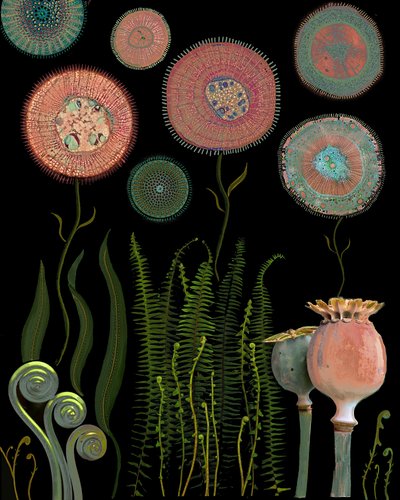 Microscopic Flower Garden by giovanna nicolo