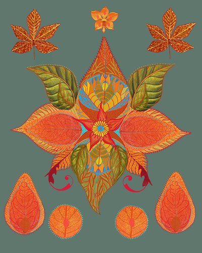 Vibrant Autumn Botanicals by giovanna nicolo