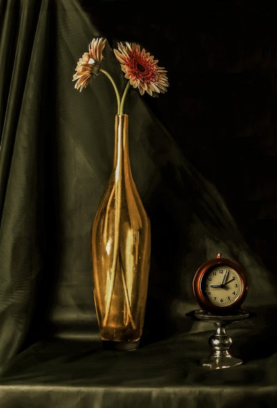 Golden Gerbera Still Life by jlloydphoto