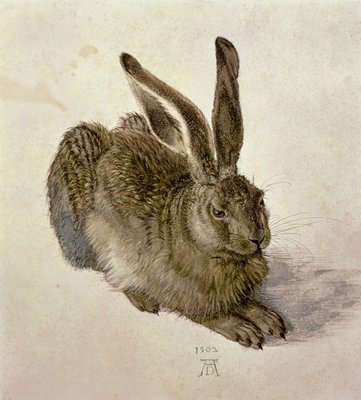 Who was Albrecht Dürer?