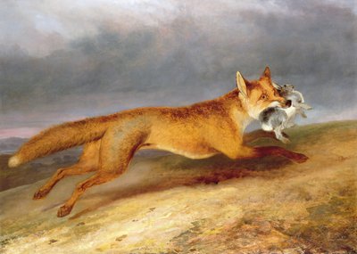 Fox Chasing Rabbit Whisper Of Night