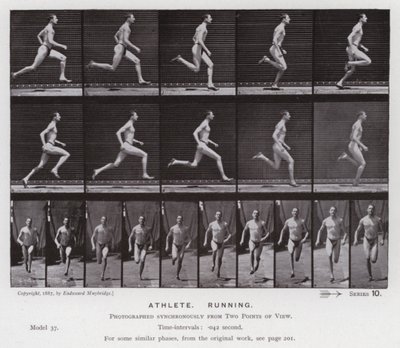 洋書 THE HUMAN FIGURE IN MOTION Amazon.com: The Human Figure in Motion: 9780486202044: Eadweard