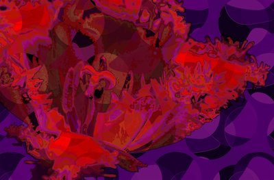 Red Tulip (digital) by Scott J. Davis