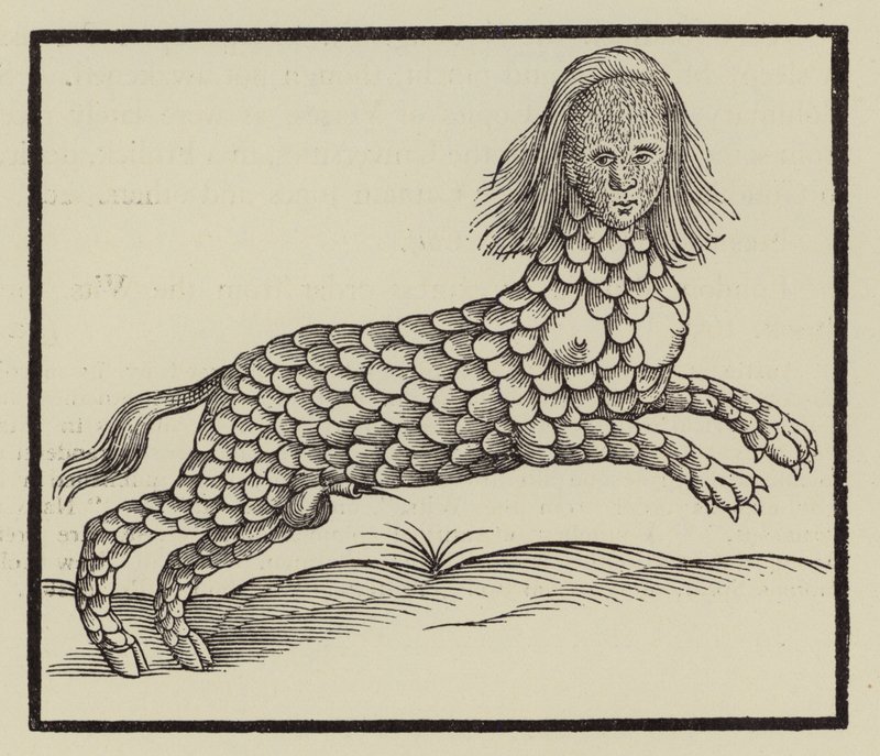 Four-legged creature with a body covered in scales by (after) English School