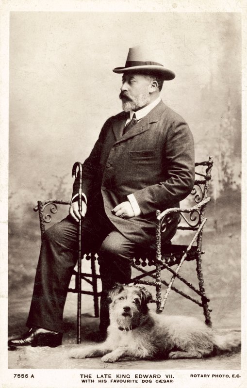 The Late King Edward VII with His Favourite Dog Caesar by (after) English photographer
