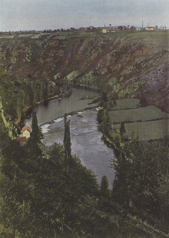 The Pine near Gargilesse (coloured photo) by (after) French Photographer