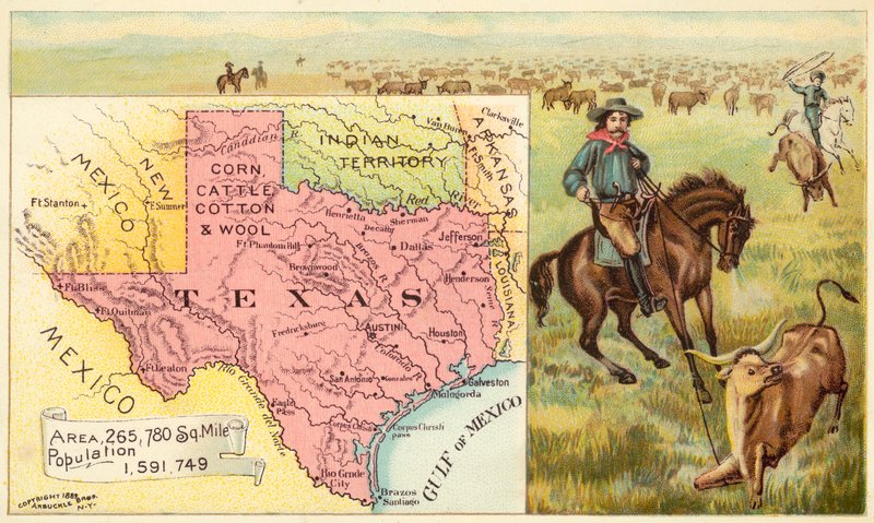 Texas, USA by American School