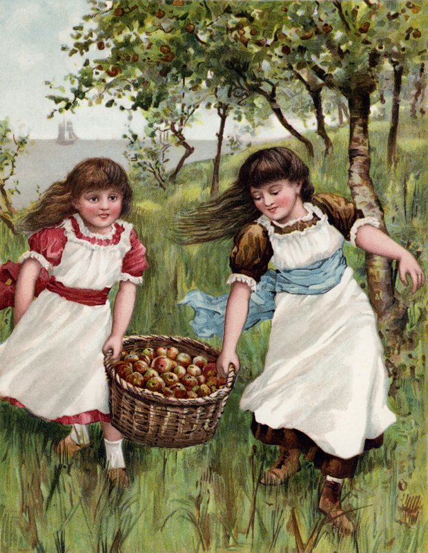 A Basket of Summer Fruit by English School