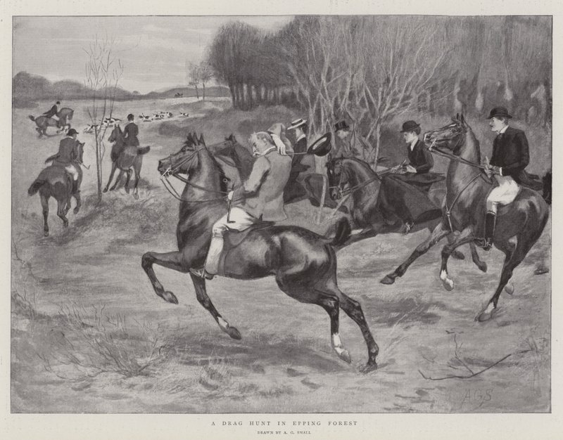 A Drag Hunt in Epping Forest by A. G. Small