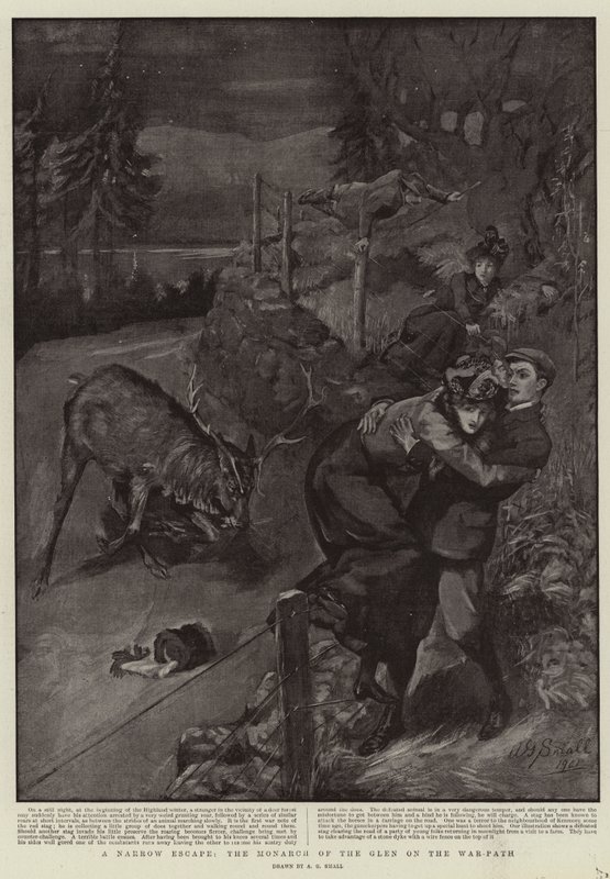 A Narrow Escape, the Monarch of the Glen on the War-Path by A. G. Small