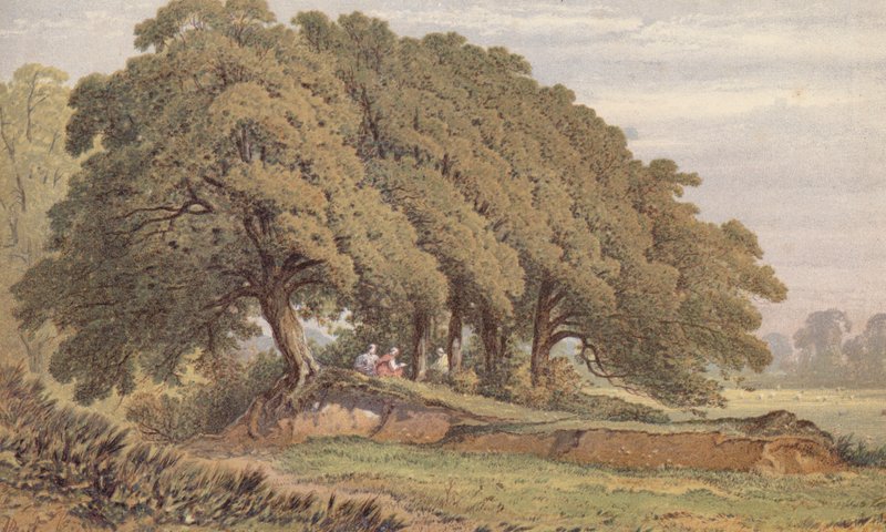 Study of a Group of Oak Trees, Near Eltham, Kent by Aaron Edwin Penley