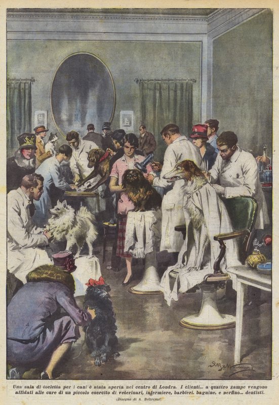 A Dog Grooming Salon Opened in Central London by Achille Beltrame