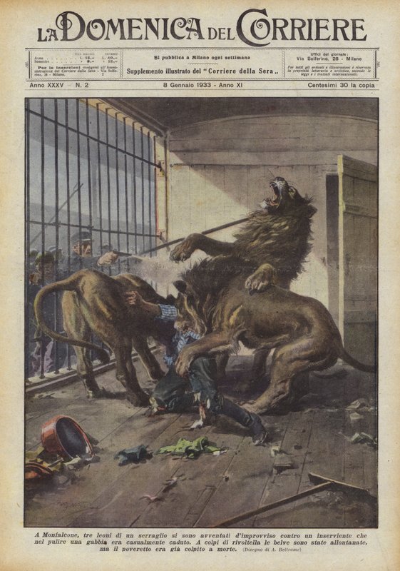 In Monfalcone, Three Lions from a Menagerie Suddenly Attacked an Attendant Who... by Achille Beltrame