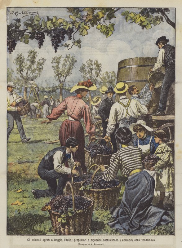 Agrarian Strikes in Reggio Emilia, Owners and Young Ladies Replace Peasants in the Harvest by Achille Beltrame