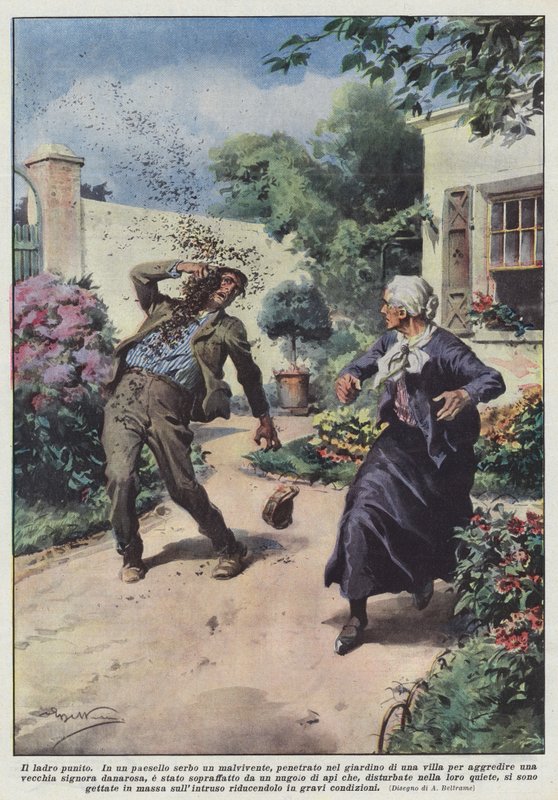 The Punished Thief by Achille Beltrame