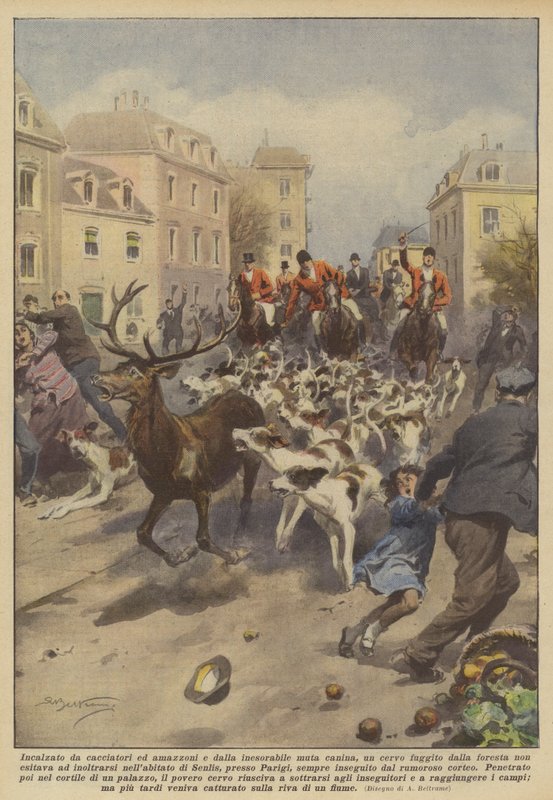 Chased by Hunters and Amazons and the Inexorable Pack of Hounds, a Deer Escaped from... by Achille Beltrame