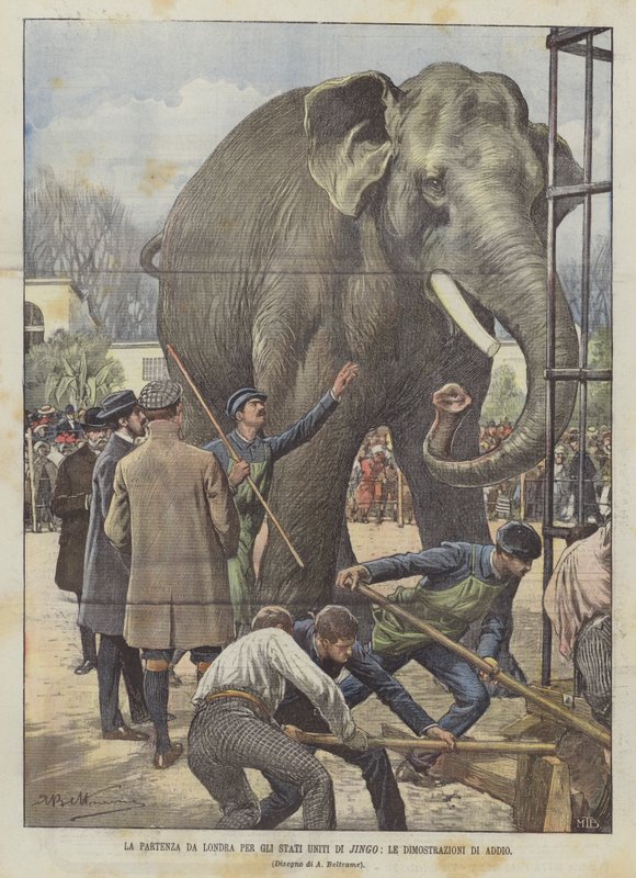 The Departure from London to the United States of Jingo, The Farewell Demonstrations by Achille Beltrame