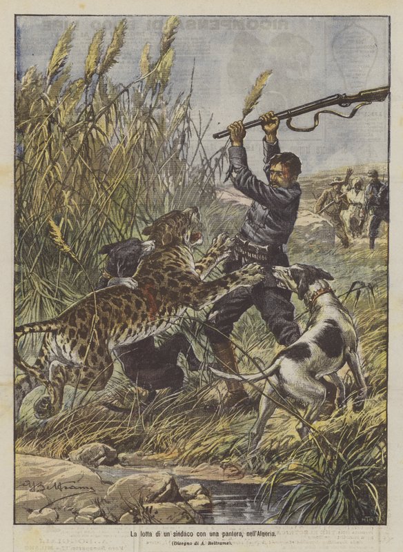The Struggle of a Mayor with a Panther in Algeria by Achille Beltrame