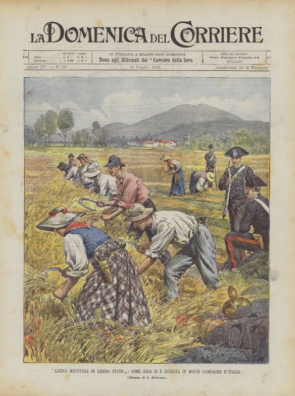 Free Harvest in a Free State, As It Began in Many Italian Countrysides by Achille Beltrame