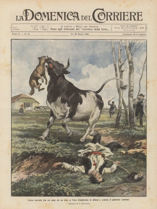 Deadly Fight Between a Dog and a Bull in Vecs (Hungary) Defending and Against Their Common Owner by Achille Beltrame