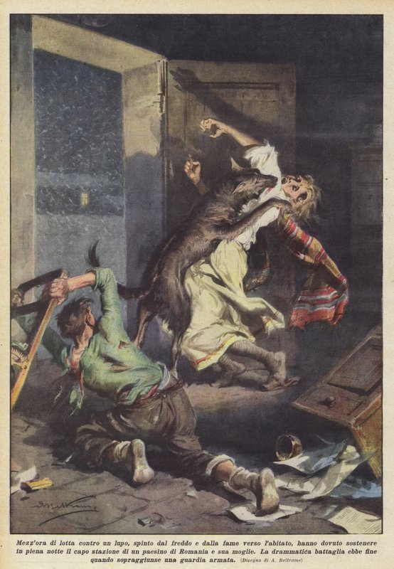 Half an Hour of Struggle Against a Wolf, Driven by Cold and Hunger Towards the Inhabited Area by Achille Beltrame