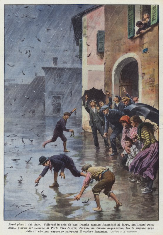 Fish Rained from the Sky! Lifted into the Air by a Waterspout Formed Offshore by Achille Beltrame