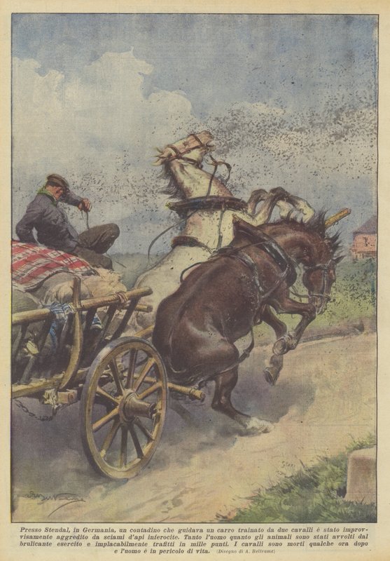 Near Stendal, Germany, a Farmer Driving a Cart Pulled by Two Horses Was... by Achille Beltrame