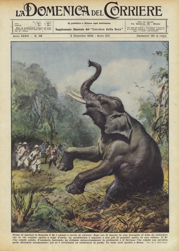 Before Leaving Somalia, the King Went Elephant Hunting by Achille Beltrame