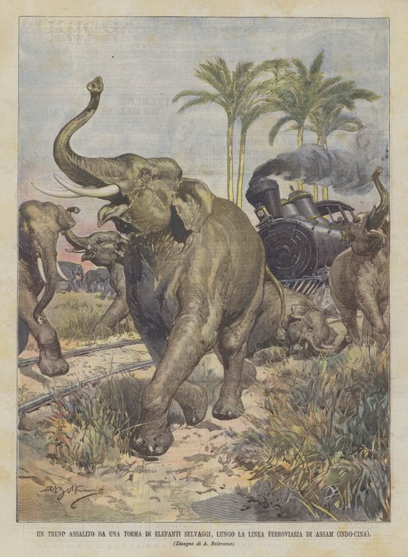 A Train Attacked by a Horde of Wild Elephants, Along the Assam Railway Line (Indo-China) by Achille Beltrame