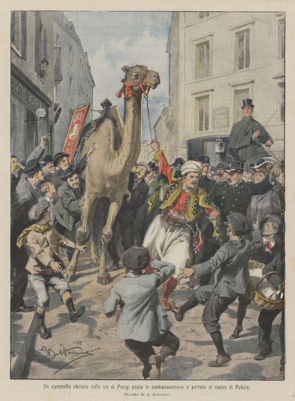A Drunk Camel in the Streets of Paris Fined and Taken to the Police Station by Achille Beltrame
