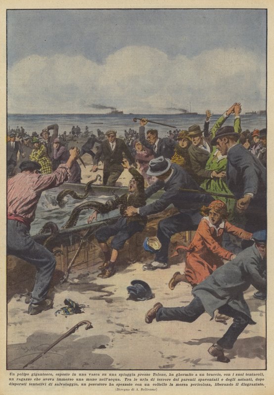 A Giant Octopus Displayed in a Tank on a Beach Near Toulon by Achille Beltrame