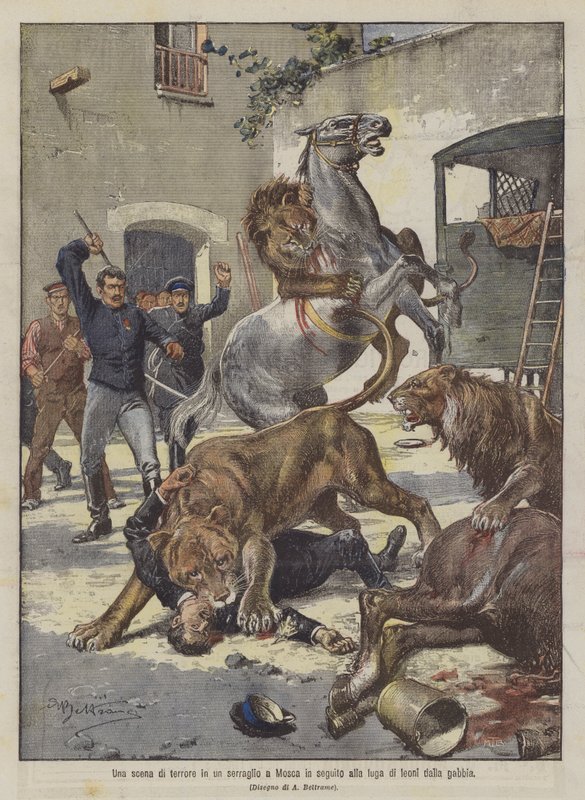 A Scene of Terror in a Menagerie in Moscow Following the Escape of Lions from the Cage by Achille Beltrame