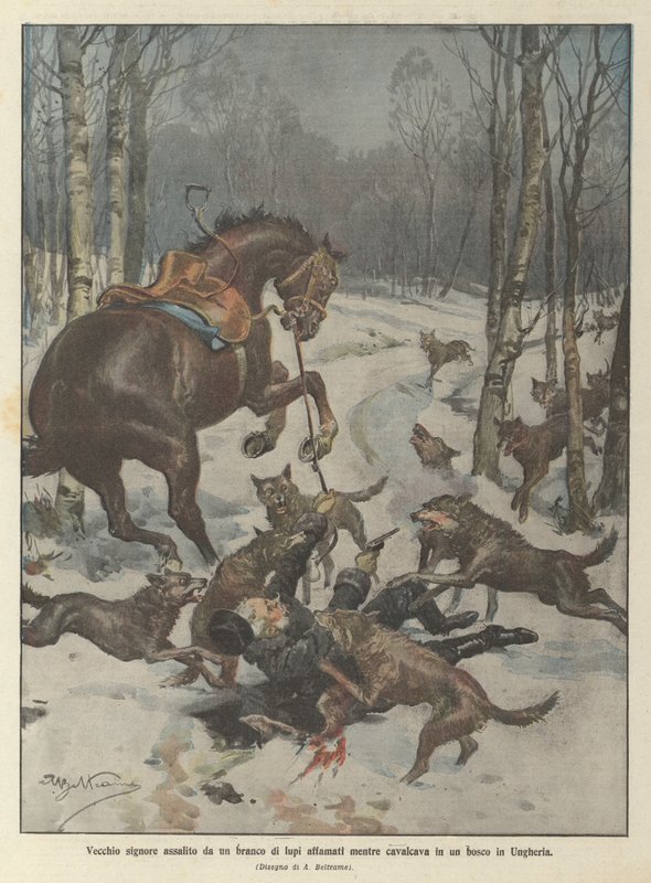 Old Gentleman Attacked by a Pack of Hungry Wolves While Riding in a Forest in Hungary by Achille Beltrame
