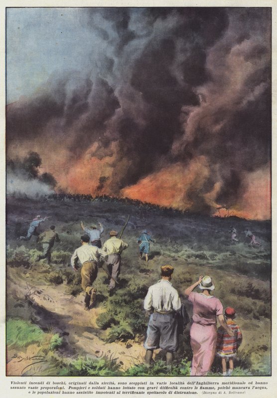Violent Forest Fires Caused by Drought in Various Locations by Achille Beltrame