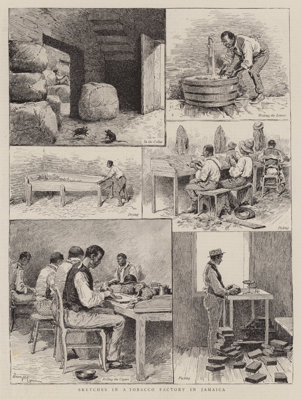 Sketches in a Tobacco Factory in Jamaica by Adrien Emmanuel Marie