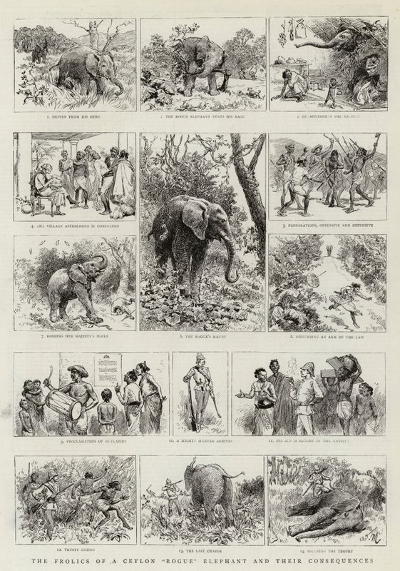 The Frolics of a Ceylon Rogue Elephant and Their Consequences by Adrien Emmanuel Marie